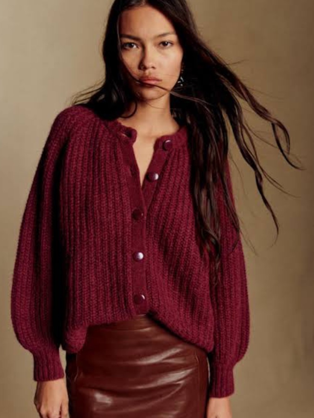 Sezane Emile Burgundy NWT (S)